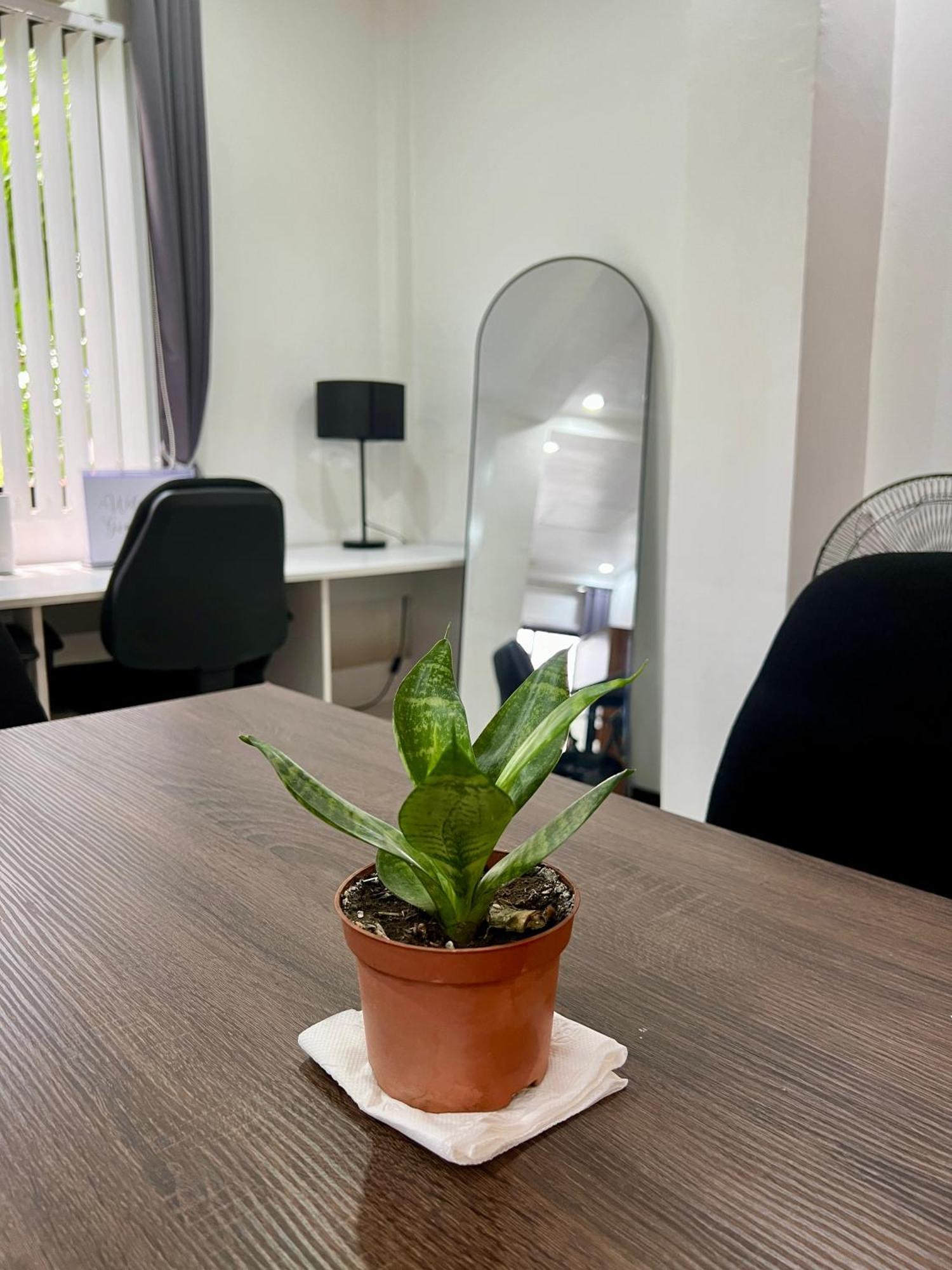 San Mateo Gia'S Place מראה חיצוני תמונה